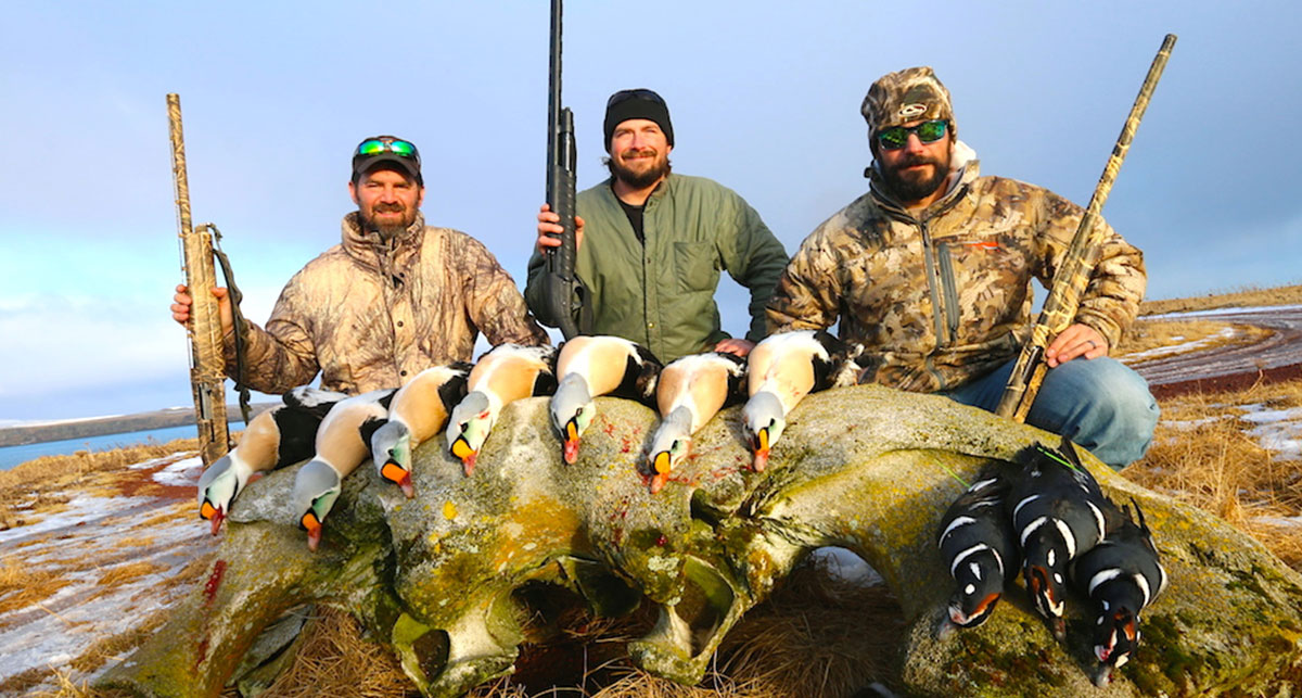 Alaska-sea-duck-offer-sec-img