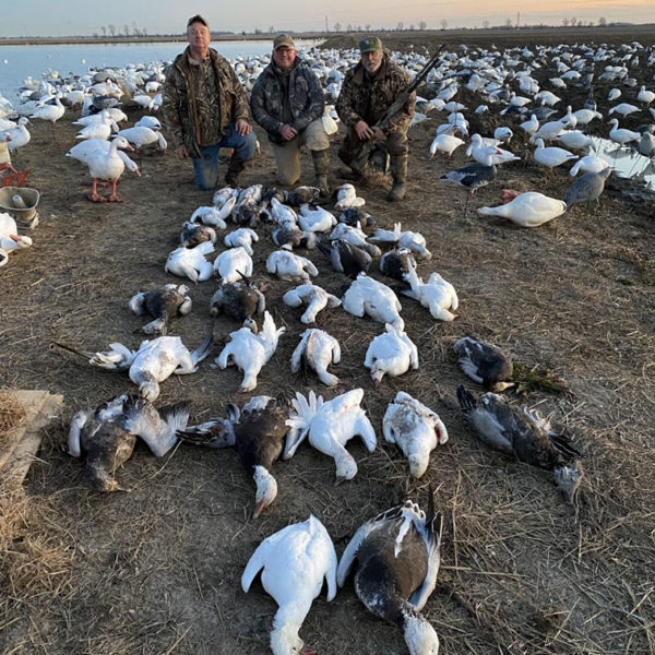Missouri Spring Snow Goose Hunting Guides & Outfitters