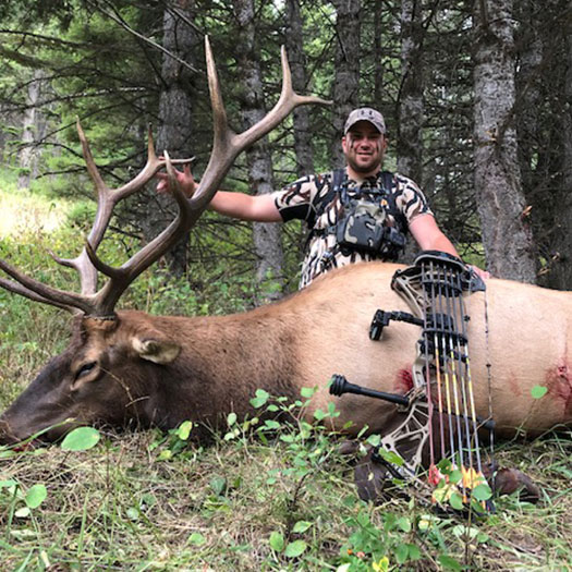 Montana Guided Elk Hunts & Deer Hunting & Montana Mule Deer Hunting Guides