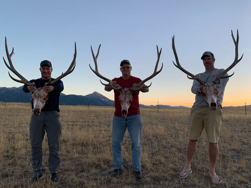 Montana Guided Elk Hunts & Deer Hunting & Montana Mule Deer Hunting Guides