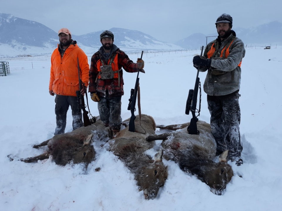 Montana Guided Elk Hunts & Deer Hunting & Montana Mule Deer Hunting Guides