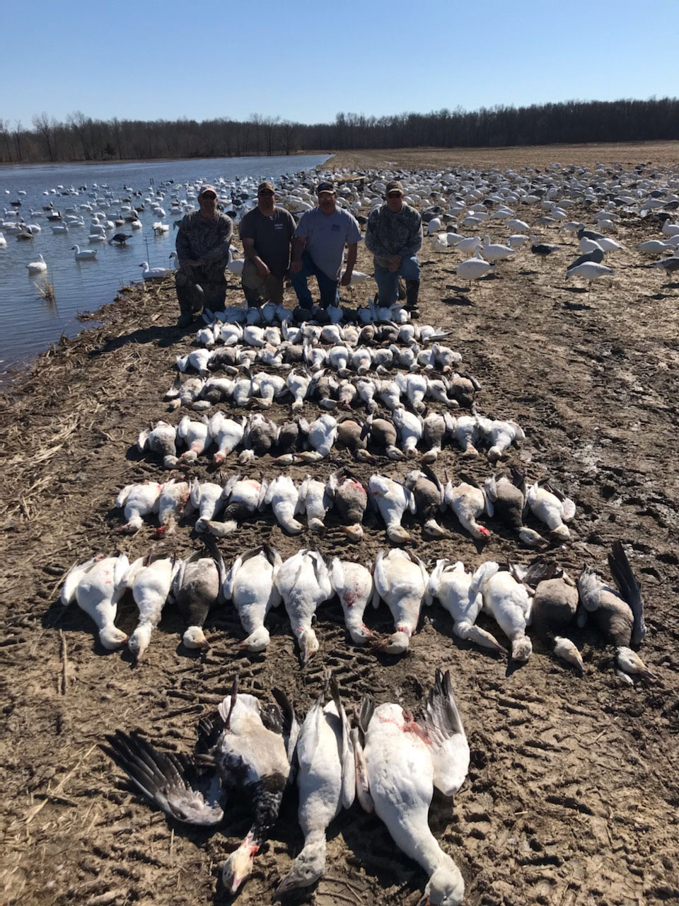 Nebraska Spring Snow Goose Hunting Guides & Outfitters