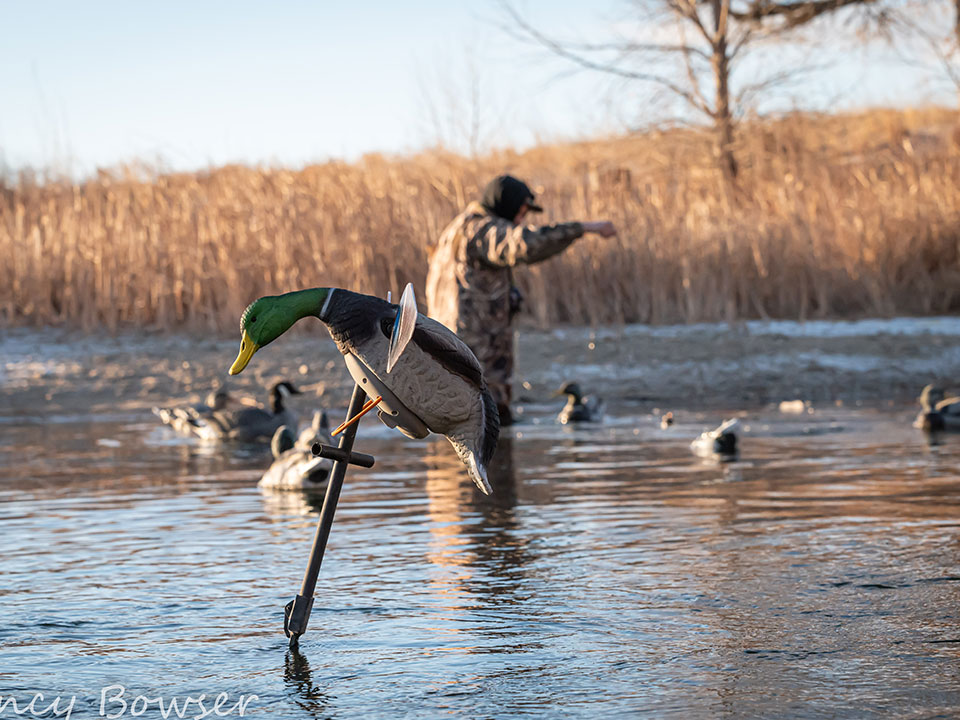 Wyoming Duck Hunting Guides & Goose Hunting Outfitters