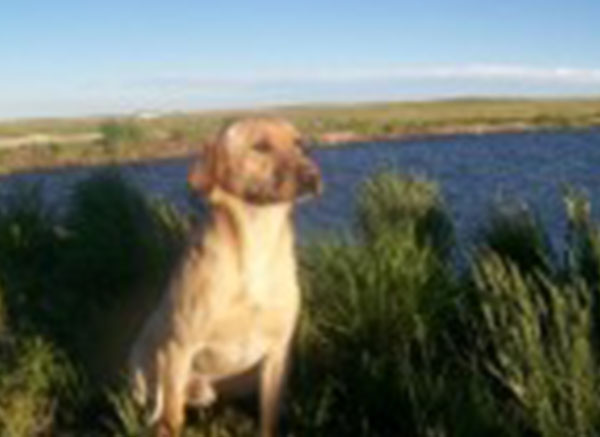 Crow-Creek-img03