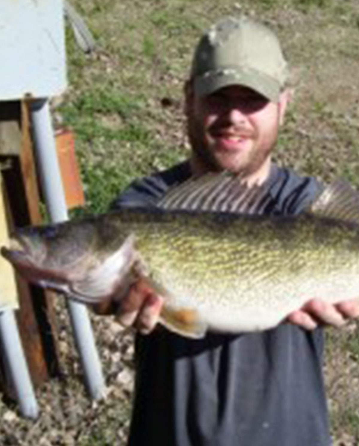 South Dakota Walleye Fishing Resorts South Dakota Missouri River