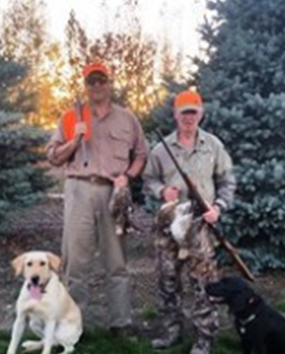 Montana Upland Bird Hunting Grouse Hunting Guides