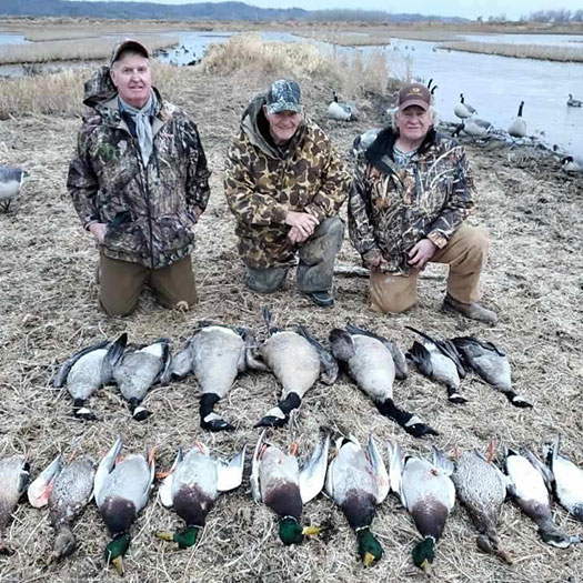 montana-duck-img06