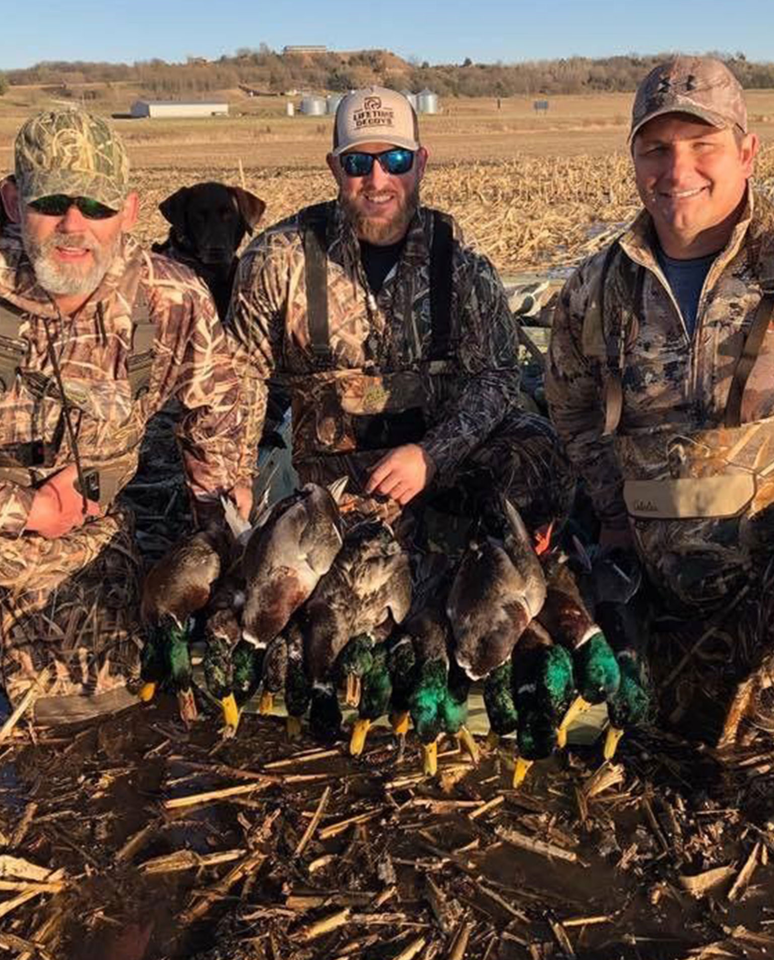 montana-duck-img07