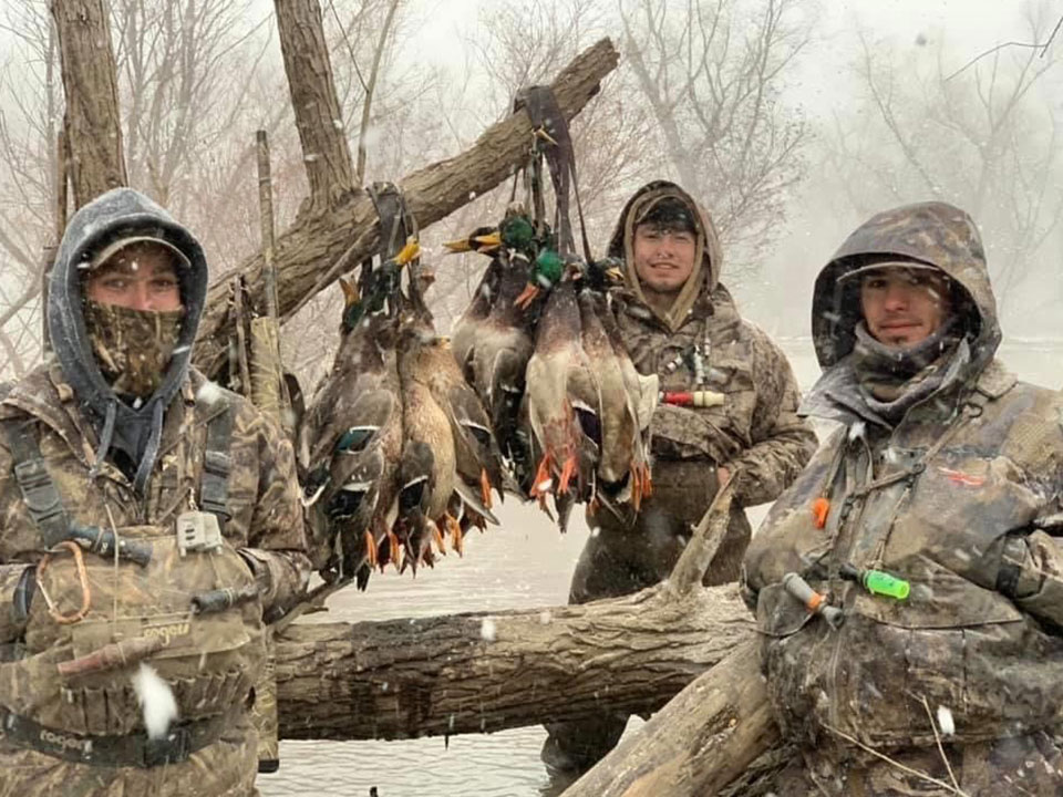 montana-duck-img08