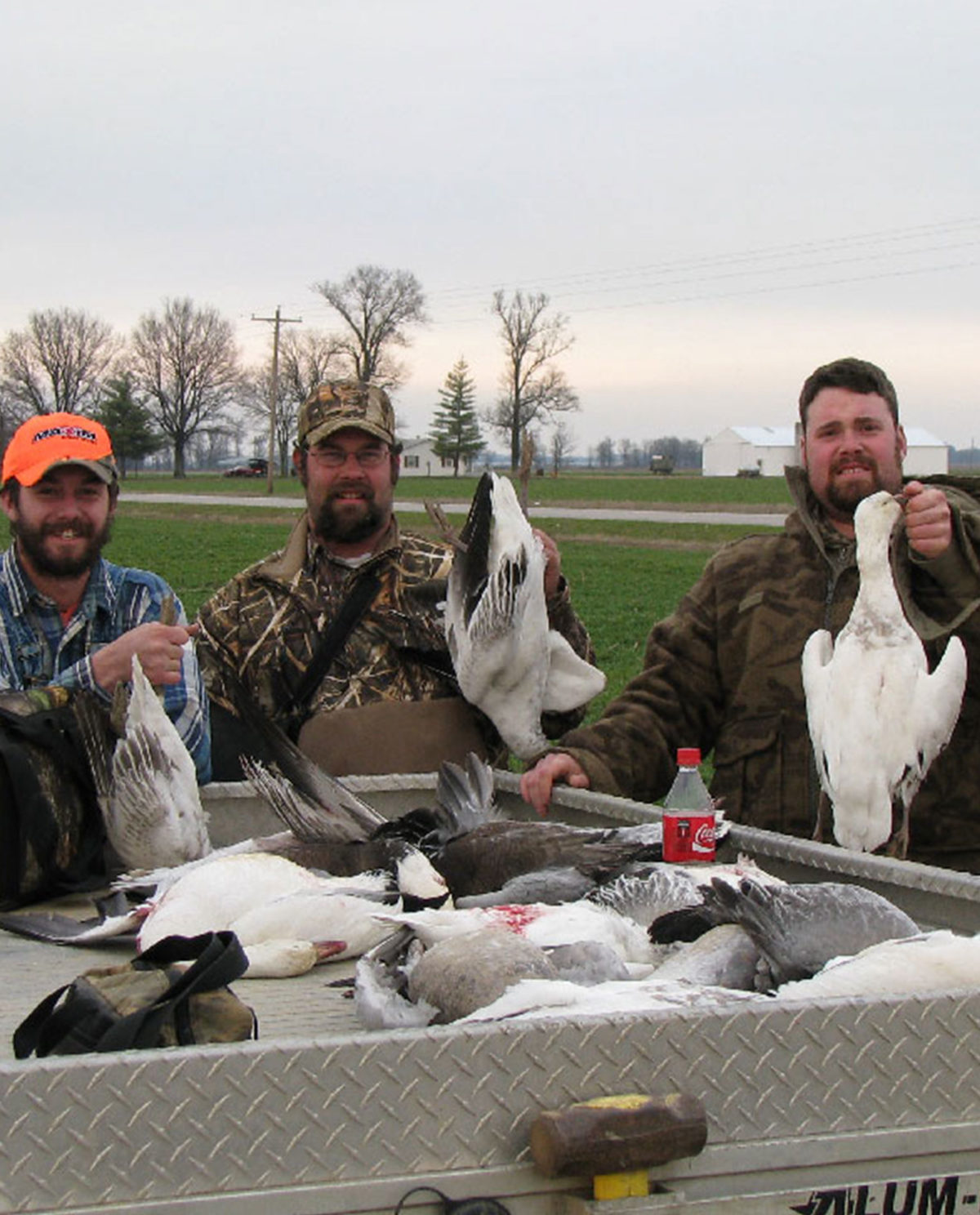 Arkansas Spring Snow Goose Hunting Guides & Outfitters