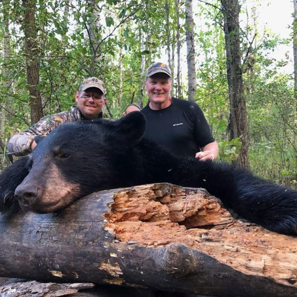 Minnesota Bear Hunting Outfitters Minnesota Guided Black Bear Hunts