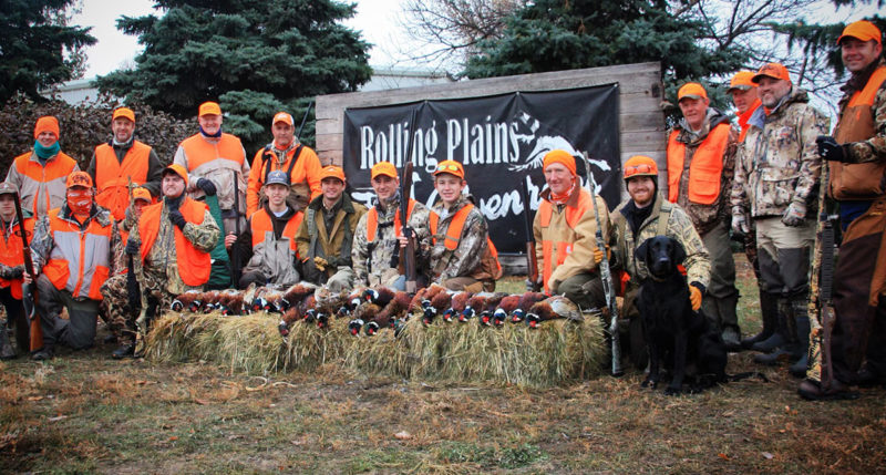 North Dakota Pheasant Hunting Guides | Upland Bird Hunts