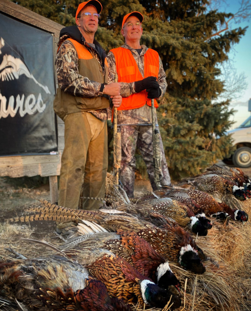 North Dakota Pheasant Hunting Guides Upland Bird Hunts