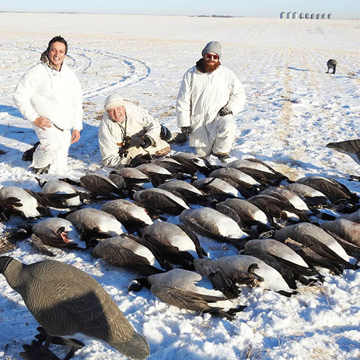 Saskatchewan Canada Goose & Duck Hunts