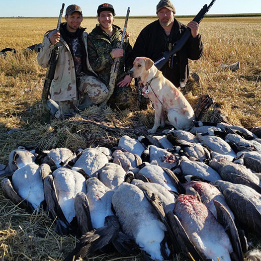 Saskatchewan Upland / Waterfowl Combo Hunts