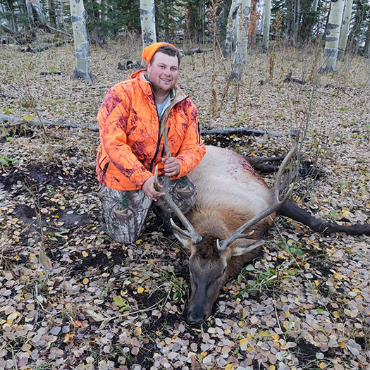 Colorado Elk Hunting Outfitters - HuntTheNorth.com