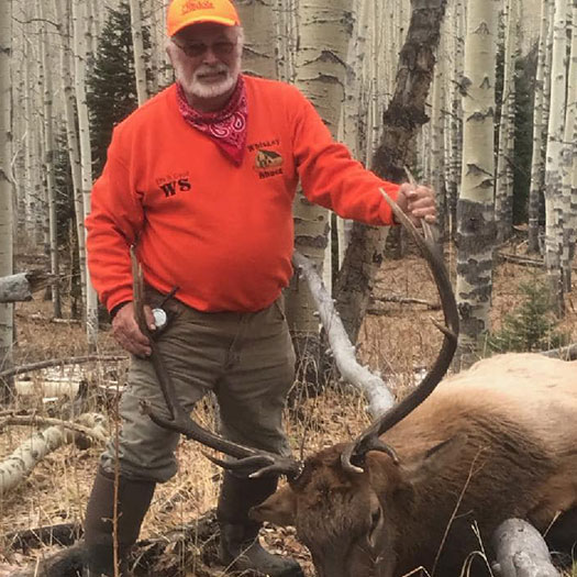 Colorado Guided Elk Hunts - HuntTheNorth.com