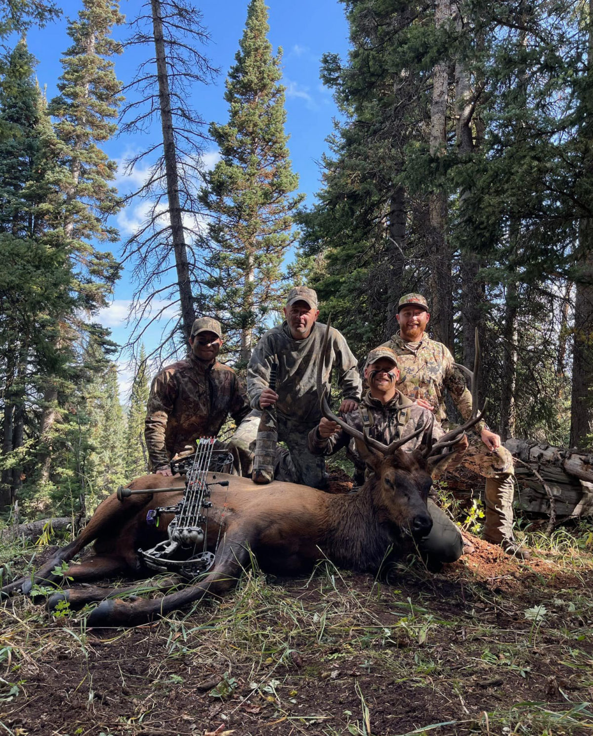 Colorado Guided Elk Hunts Colorado Elk Drop Camps Colorado Elk