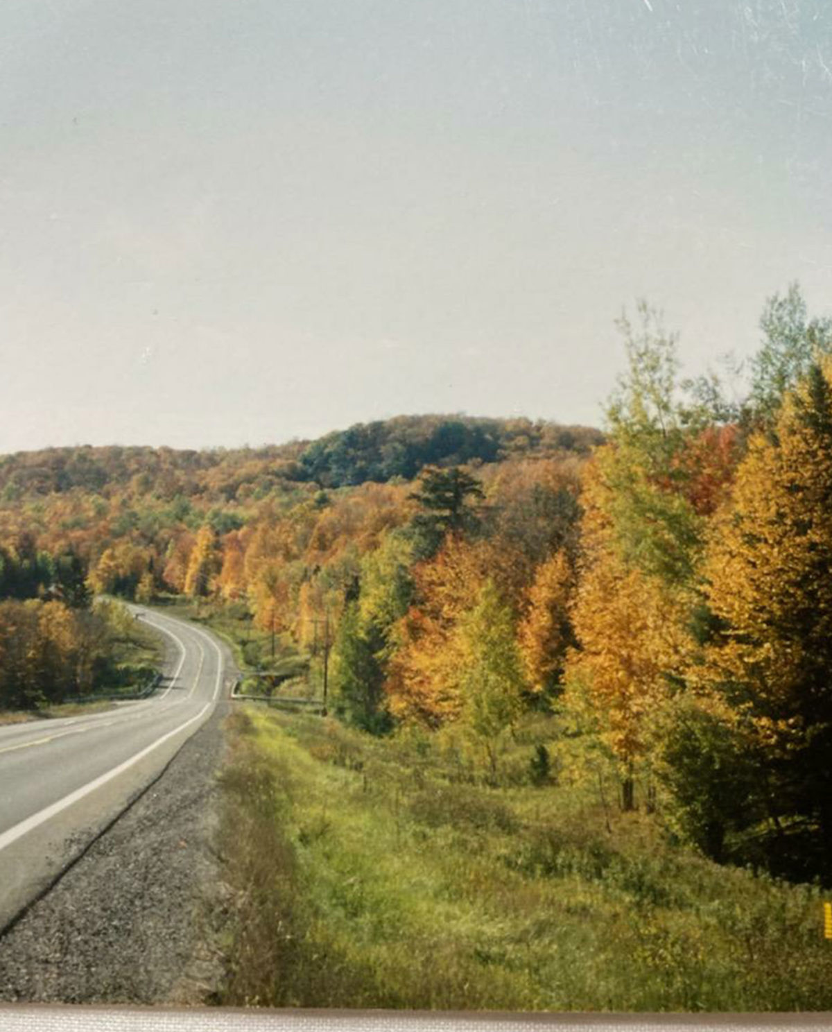 Michigan Grouse Hunting Guides Michigan Upland Bird Hunting Outfitters Michigan Grouse Hunting Guides Michigan Upland Bird Hunting Outfitters