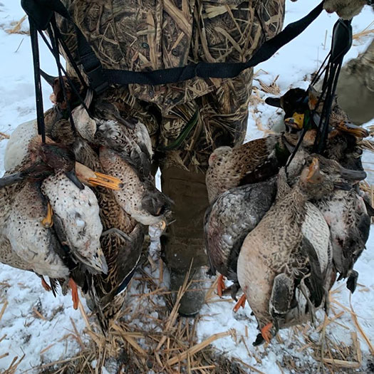 Minnesota Goose Hunting Guides Minnesota Duck Hunting Outfiters