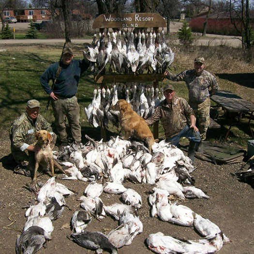 North Dakota Sandhill Crane Hunts