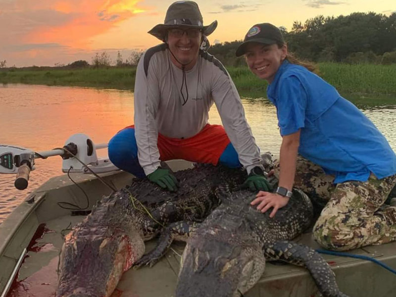 Florida Aligator Hunting Florida Aligator Hunting Guides And Gator