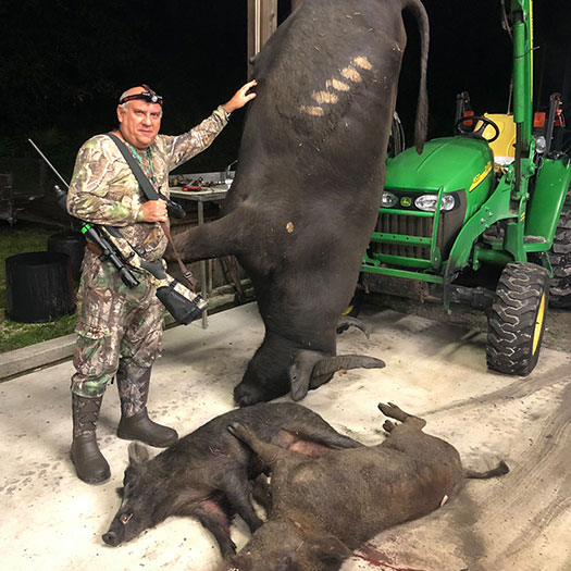 Florida Hog Hunting