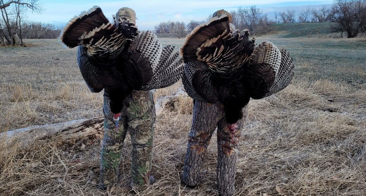 Minnesota Turkey Hunting Offers