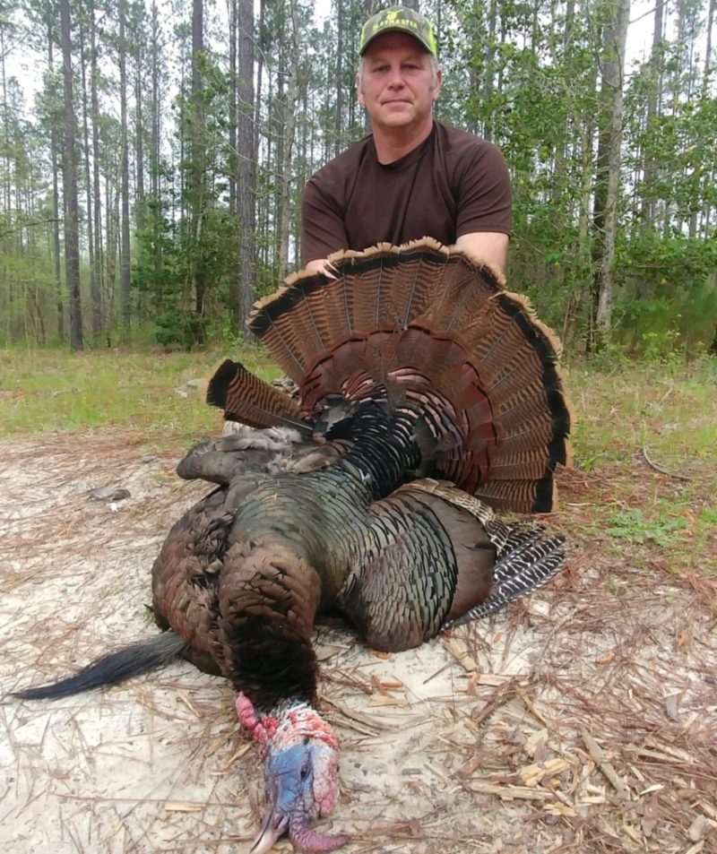 Turkey Hunting Guides Turkey Hunting Guides