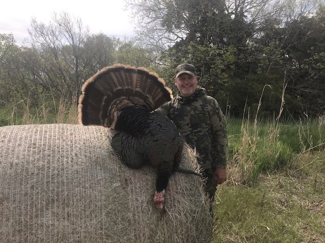 Turkey Hunt: Chasing gobblers in south-central Ontario