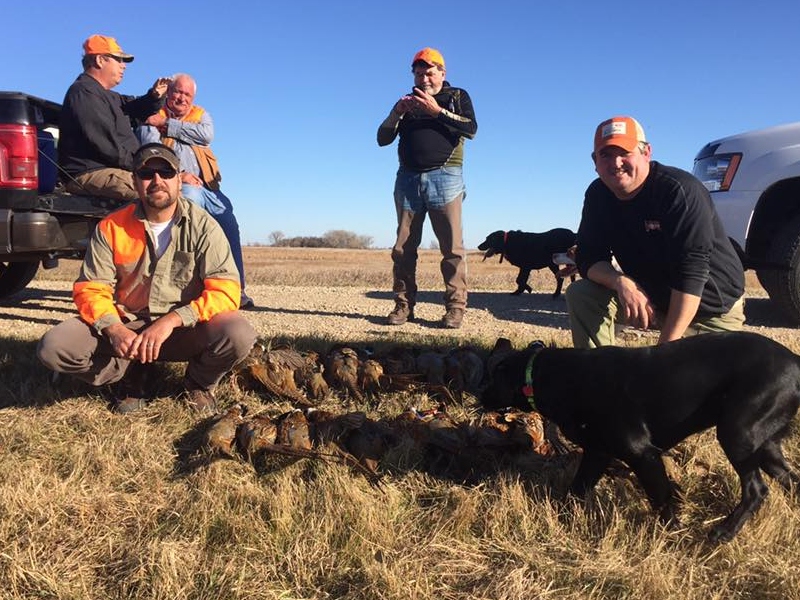 Minnesota Pheasant Hunting Guides & Upland Bird Hunts