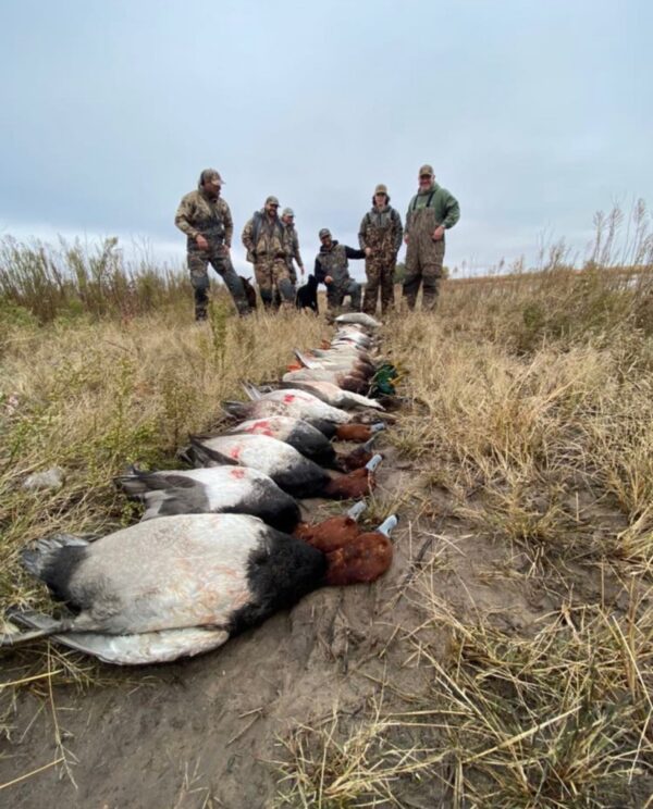 Kansas Waterfowl Hunting Guides Kansas Goose Hunting Outfitters