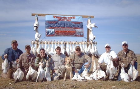 Colorado Guided Spring Snow Goose Hunts