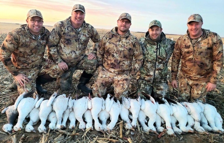 Kansas Spring Snow Goose Hunting Guide