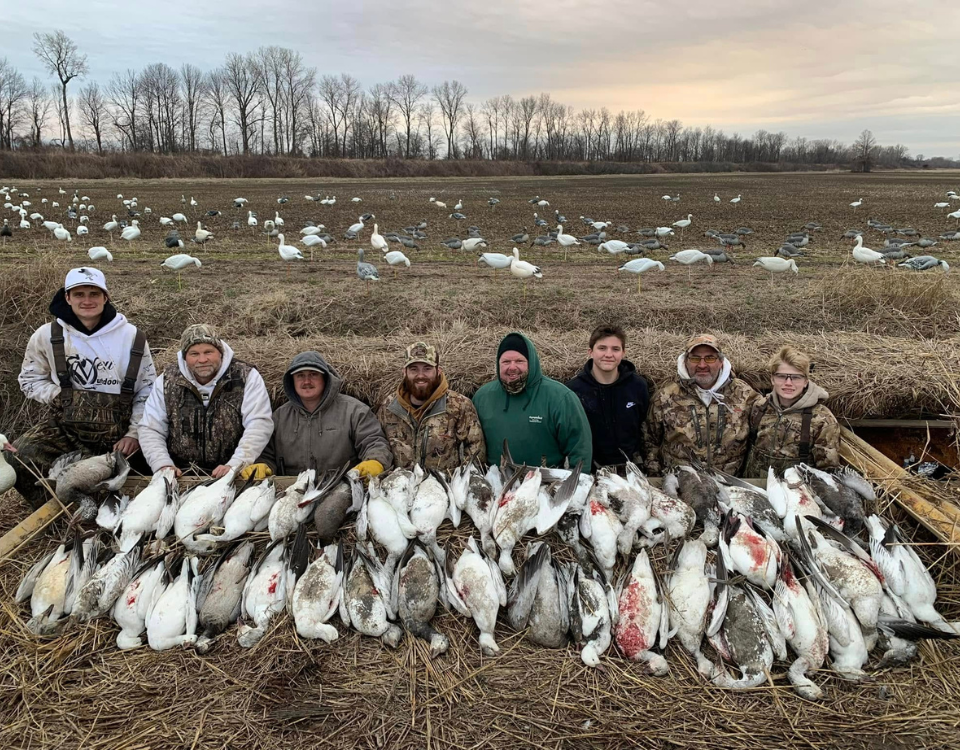 Arkansas Spring Snow Goose Hunts