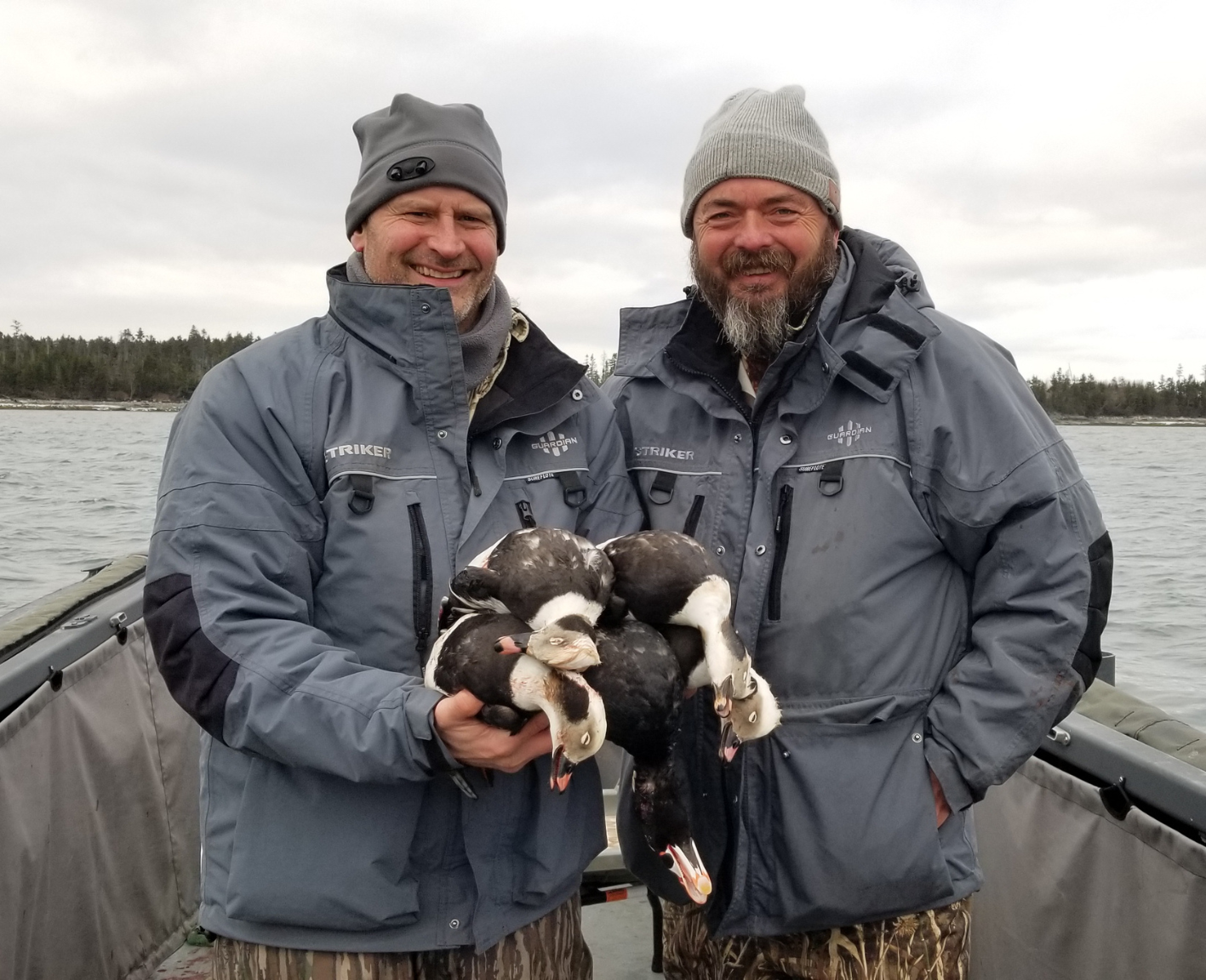 Maine Sea Duck Hunting