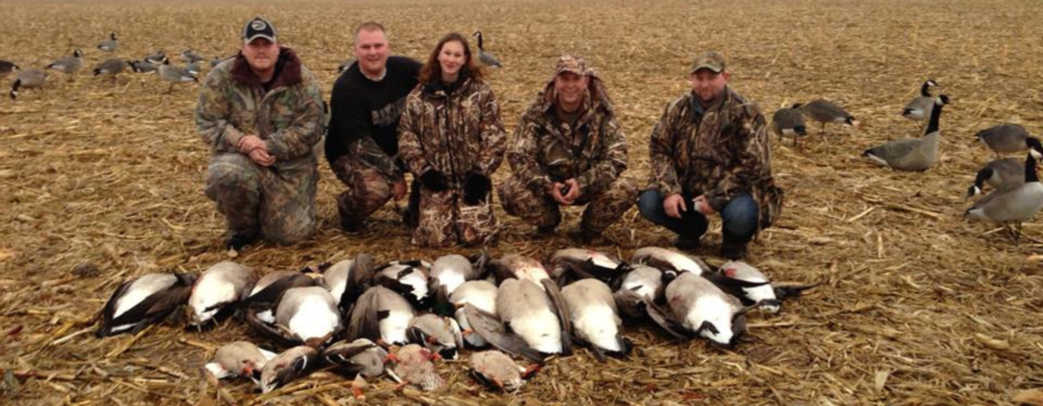 Minnesota Goose Hunting Outfitter