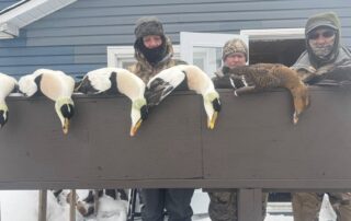 Newfoundland Guided Duck Hunts