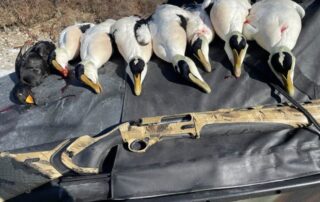 Newfoundland Sea Duck Hunts