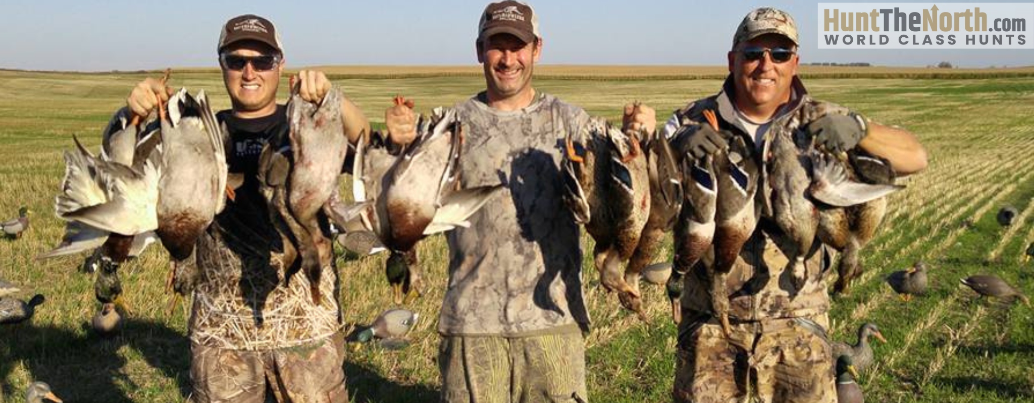 North Dakota Duck Hunts