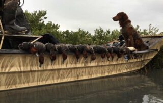 Texas Duck Hunting