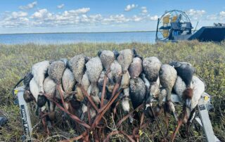 Texas Duck Hunting Guide Service