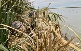 Texas Waterfowl Hunting
