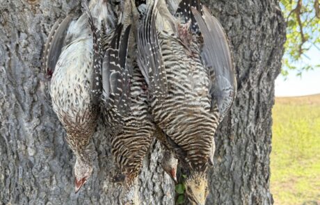 2026 HuntTheNorth.com Outfitter of the Year 2026 HuntTheNorth.com Outfitter of the Year