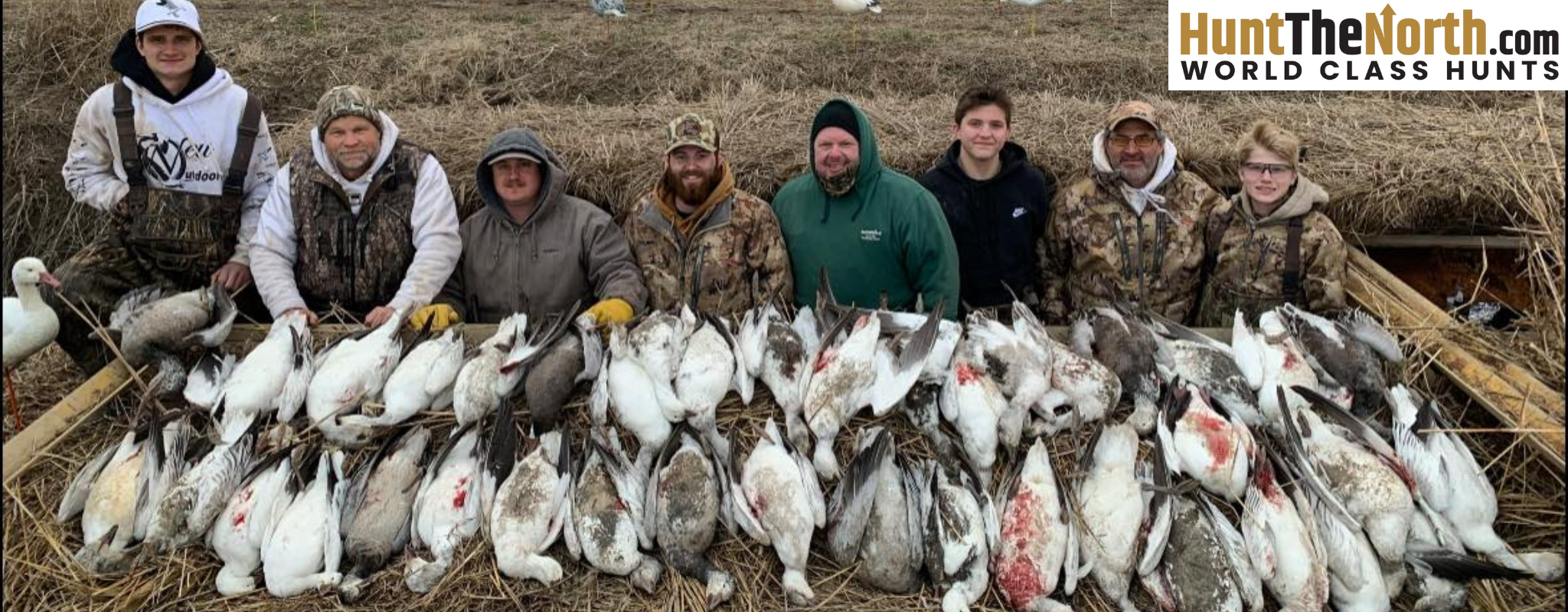 Arkansas Spring Snow Goose Hunts