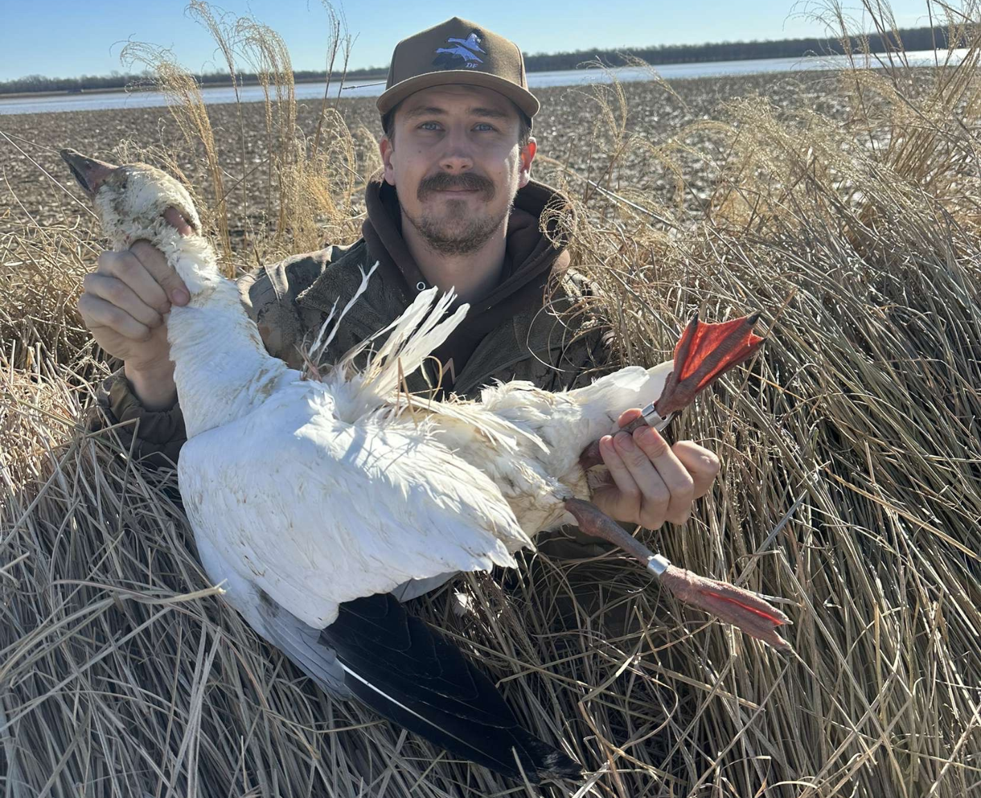 Illinois Guided Spring Snow Goose Hunts