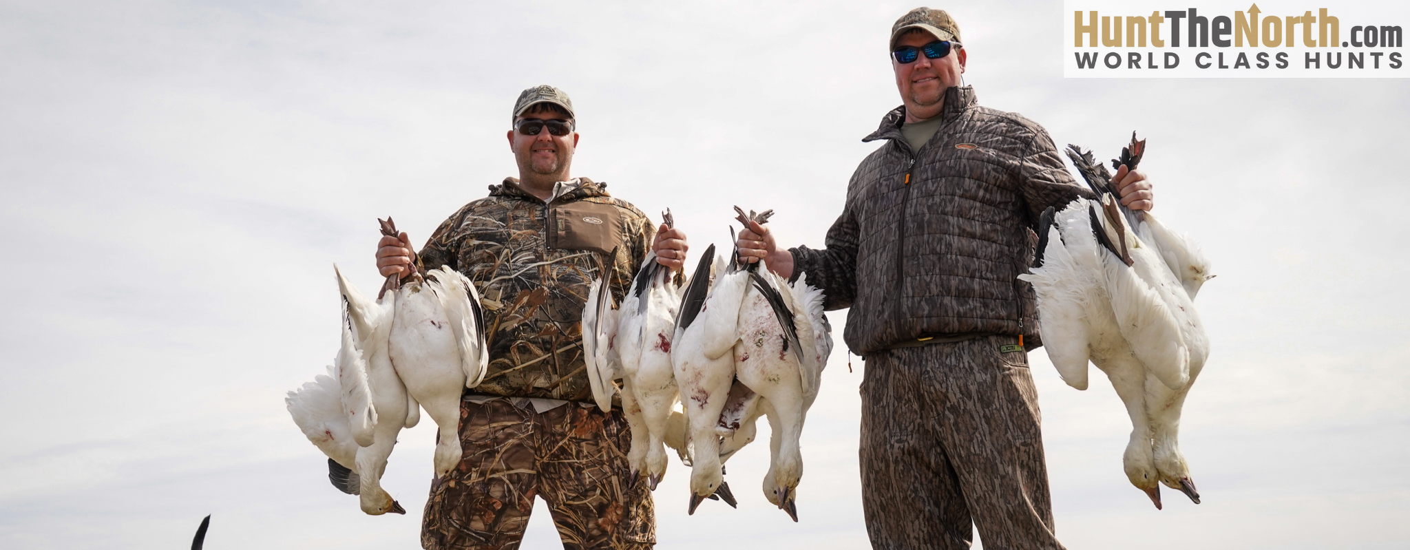Illinois Spring Snow Goose Hunts