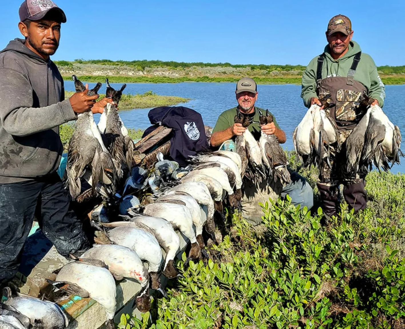 Mexico Duck Hunting