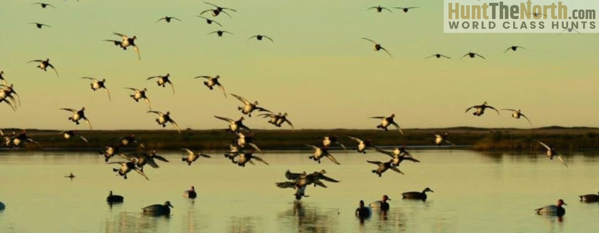 Mexico Guided Duck Hunts