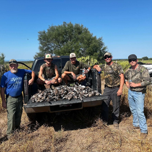 Mexico Quail Hunting